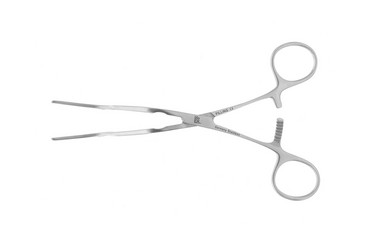 Sr_353496
