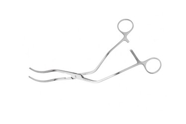 Sr_353651