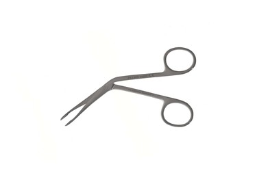 Sr_411520