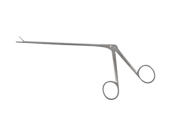 Sr_431325