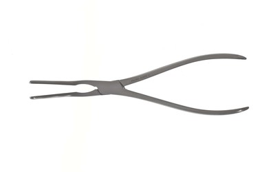 Sr_443610