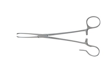 Sr_461600