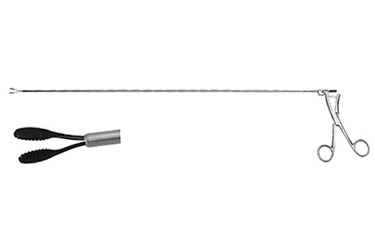 Sr_506157