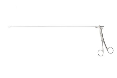 Sr_506251