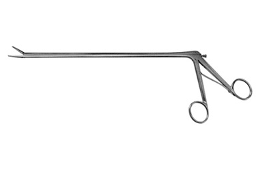 Sr_506737
