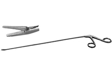 Sr_509305