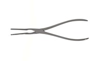 Sr_443610