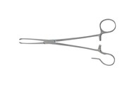 Sr_461600
