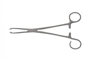 Sr_461605