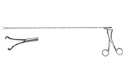Sr_506232