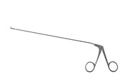 Sr_506808